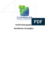 perfiles-copeems.pdf