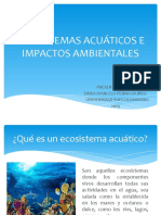 Ecosistemas Acuáticos e Impactos Ambientales