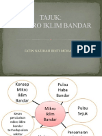 Mikro Iklim Bandar