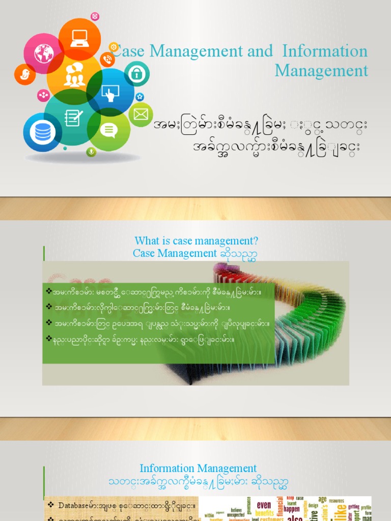 Case Management Power Point-1 | PDF