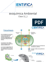 Bioquímica Ambiental - Clase12 - 1