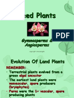 seed plants.ppt