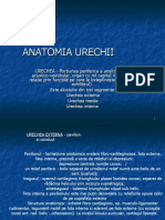 236583433-Anatomia-Urechii-Curs.ppt