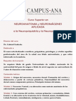 Neuroanatomia y Neuroimagenes - Campus ANA