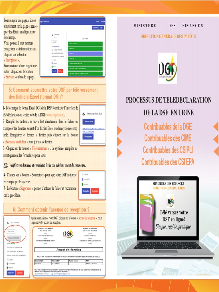 Télédéclaration DSF en ligne au Cameroun | PDF | Interface de ...