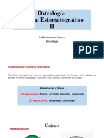 Clase II Osteologia Sistema Estomatognatico