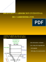 Absorcion Carbohidratos 2012
