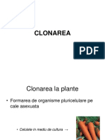 CLONAREA.pdf