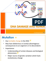 DNA Damage and Repair - Addtnlnotes PDF