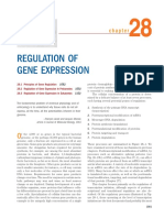 Regulation of Gene Expression From Lehninger - 4e PDF