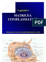 C03 Cap 4.pdf