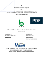 "Digitalization of Oriental Bank of Commerce": A Summer Training Report On