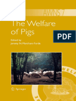 The Welfare of Pigs PDF