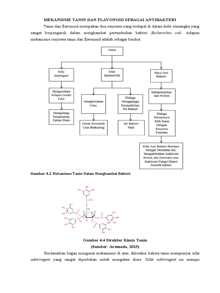 Mekanisme Tanin Dan Flavonoid Sebagai Antibakteri PDF