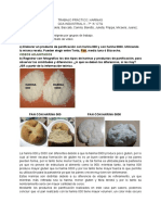 Harinas Industrial PDF