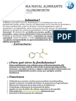 Investigación de Aminoacido-Fenilalanina