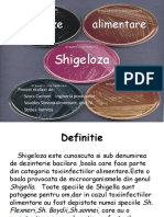 Studiu Despre Shigeloza