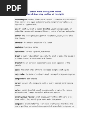 Special Words Dealing With Flowers