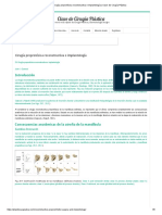 Cirugía Preprotésica Reconstructiva e Implantología - Clave de Cirugía Plástica