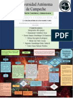 Procedimiento administrativo de ejecución fiscal (PAE