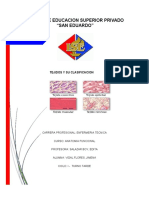 tarea tejidos y su clasif