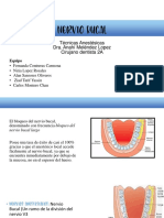 Anestesia Nervio Bucal