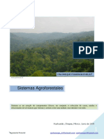 16. sistemas  agroforestales méxico.pdf