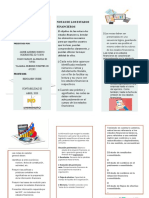 Folleto Notas Estado Financiero