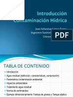 Introducción Contaminación Hídrica PDF