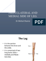 Front, Lateral and Medial Side of Leg