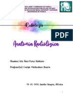 Raadio PDF1