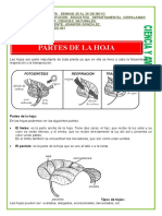 Sexta Semana Ciencias