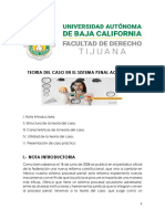 La Teoría Del Caso en La Audiencia de Juicio Oral