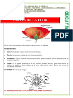 Quinta Semana Ciencias