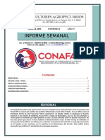 Informe 2012 Conafab