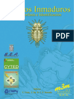 Insectos Inmaduros PDF