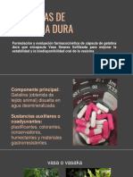 Expo Cápsulas Gelatina Dura PDF