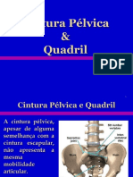 CINTURA PÉLVICA E QUADRIL