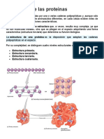 Estructura de Las Proteínas
