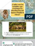 Factores que restringen la distribución del jaguar (Panthera Onca