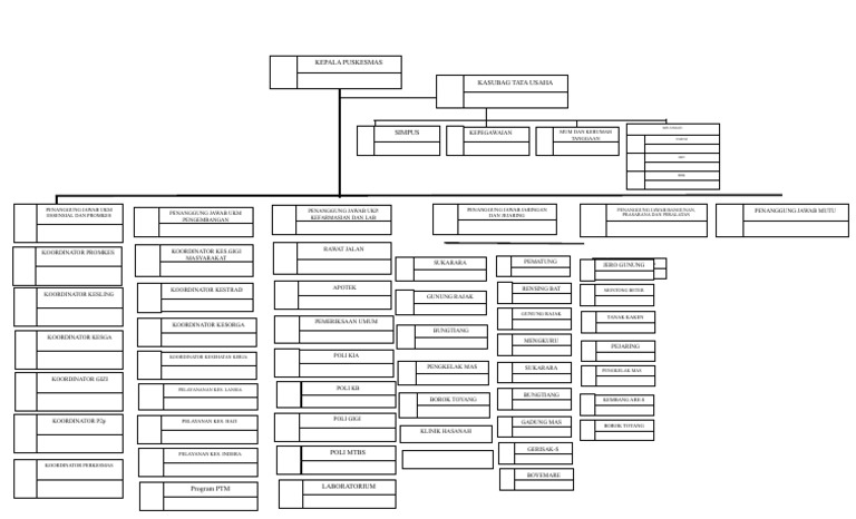 STRUKTUR ORGANISASI SESUAI PMK 43 2019 (Repaired) | PDF