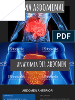 Trauma Abdominal PDF