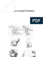 Dibujos Cuerpo Humano Proyecto