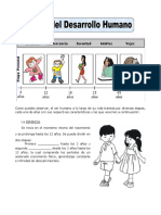 Etapas-del-Desarrollo-Humano-taller 4º