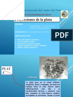 Proyecciones de La Plata - 2020