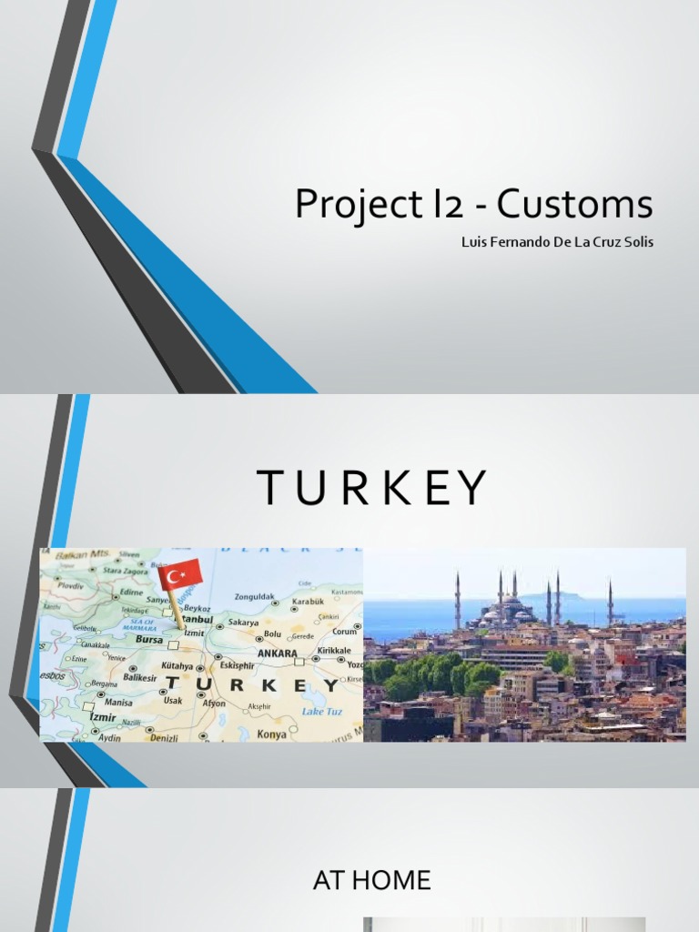 Project I2 - Customs: Luis Fernando de La Cruz Solis | PDF