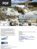 questionario A5 impressão