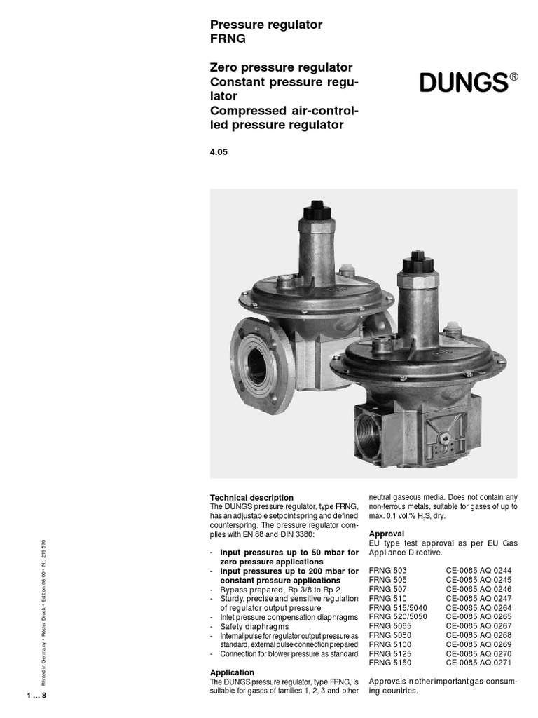 DUNGS FRNG Pressure Regulator Overview | PDF | Pressure | Gases