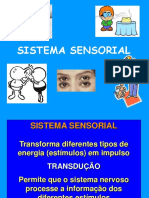 212941143-aula-3-Sistema-sensorial-Fisio-Humana-ppt