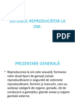 Sistemul Reproducator